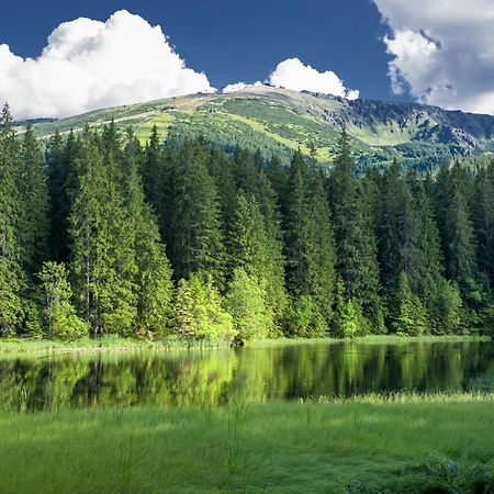 Jasna 96 III Daire Demänovská Dolina Dış mekan fotoğraf