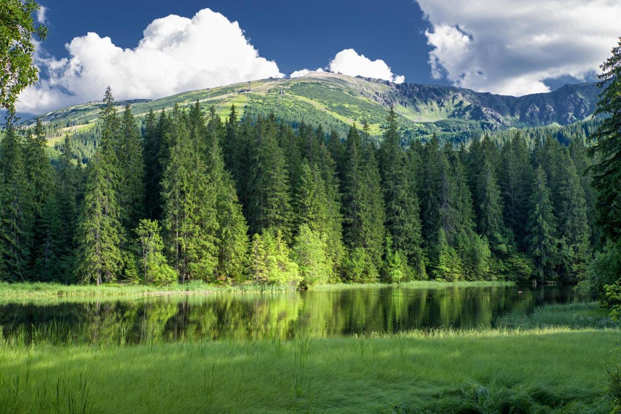 Jasna 96 III Daire Demänovská Dolina Dış mekan fotoğraf
